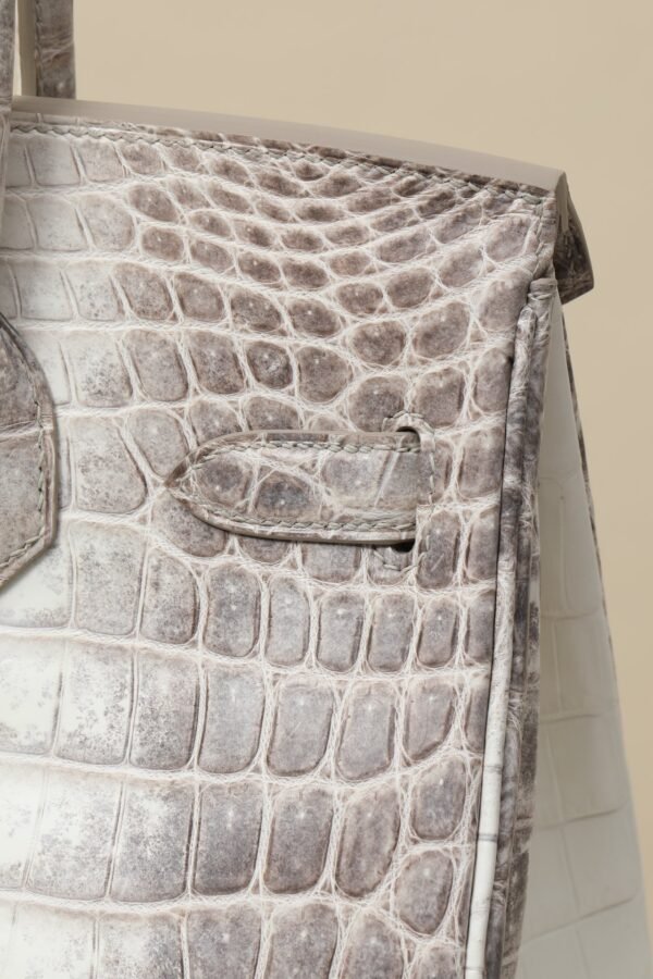 Hermes Birkin Himalaya