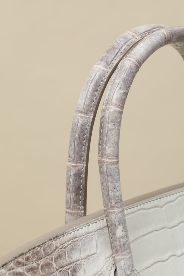 Hermes Birkin Himalaya
