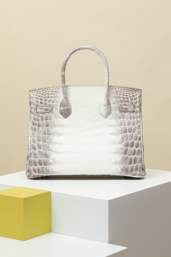 Hermes Birkin Himalaya
