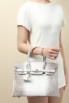 Hermes Birkin Himalaya
