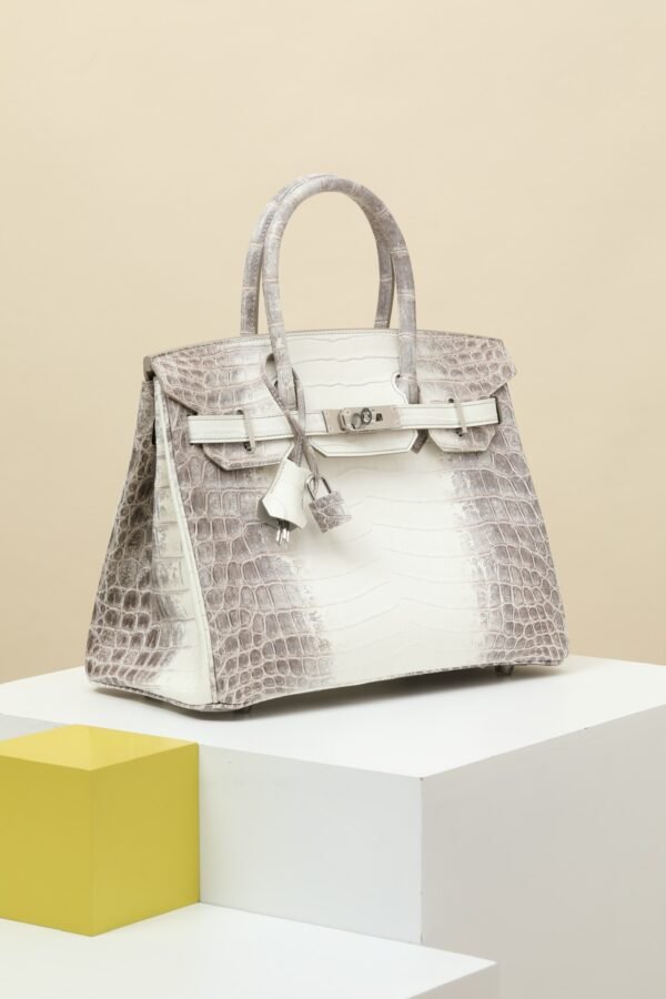 Hermes Birkin Himalaya