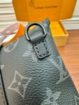 Louis Vuitton M11613