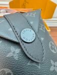 Louis Vuitton M11613