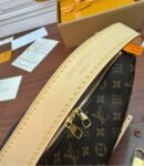Louis Vuitton M11952