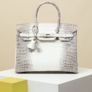 Hermes Birkin Himalaya