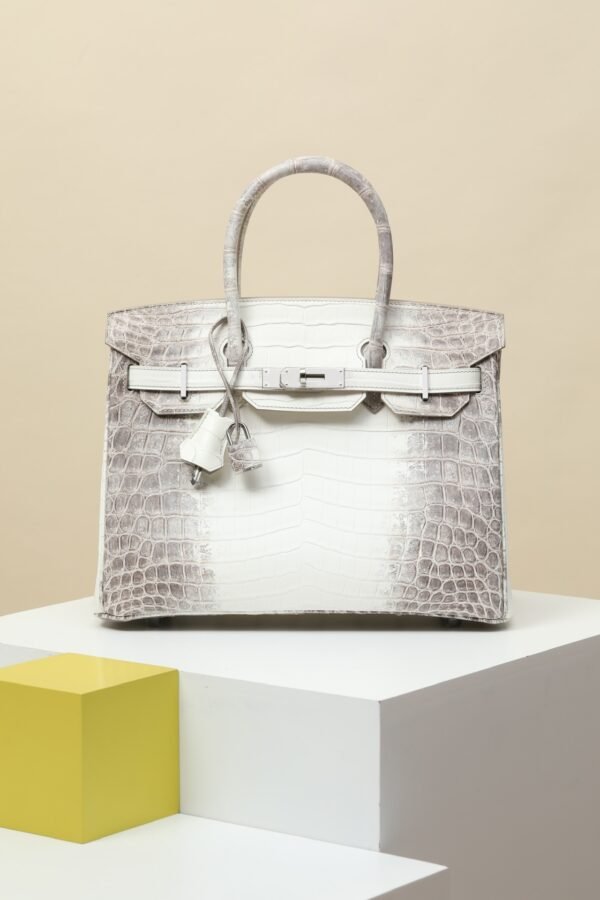 Hermes Birkin Himalaya